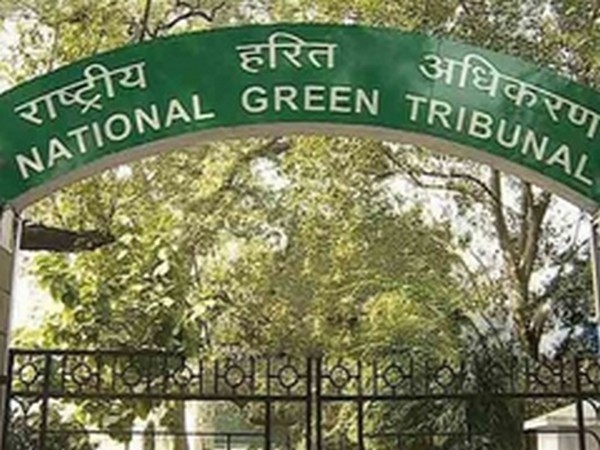 NGT forms committee to probe open discharge of sewage in Greater Noida