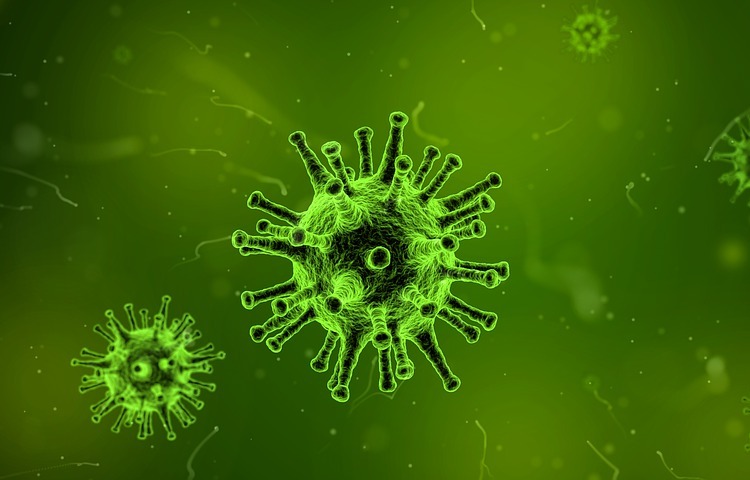 Researchers see individual virus formation for the first time
