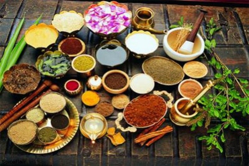 Ayurveda institute signs pact with Japanese centre to promote research collaboration