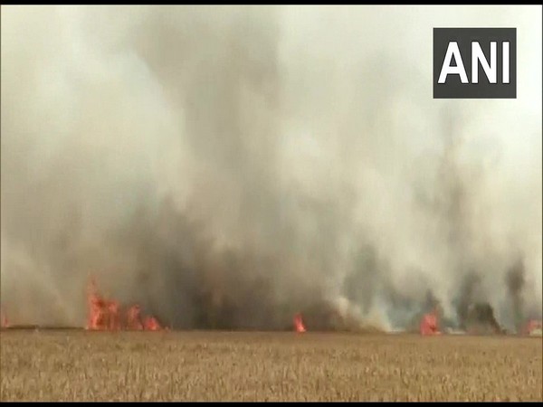 Uttarakhand: Wheat crop spread across 25 acres destroyed by fire