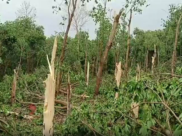 One dead, seven families shifted to relief camps due to heavy storm in Tripura