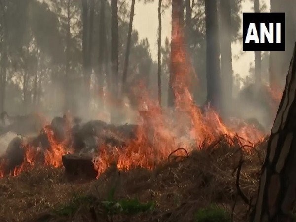 J-K: Fire breaks out in forest near residential area in Rajouri 