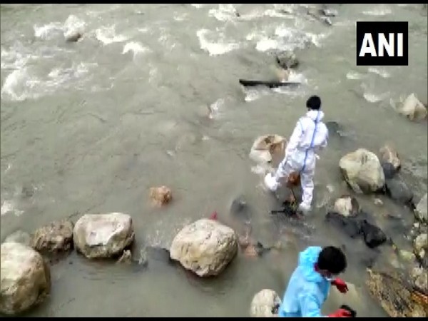 Covid-19: Dogs feed on corpses at riverbank in Uttarakhand's Uttarkashi