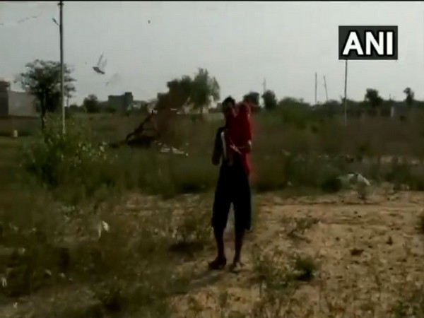 Locals clang utensils to scare away locusts in Nagaur, Rajasthan