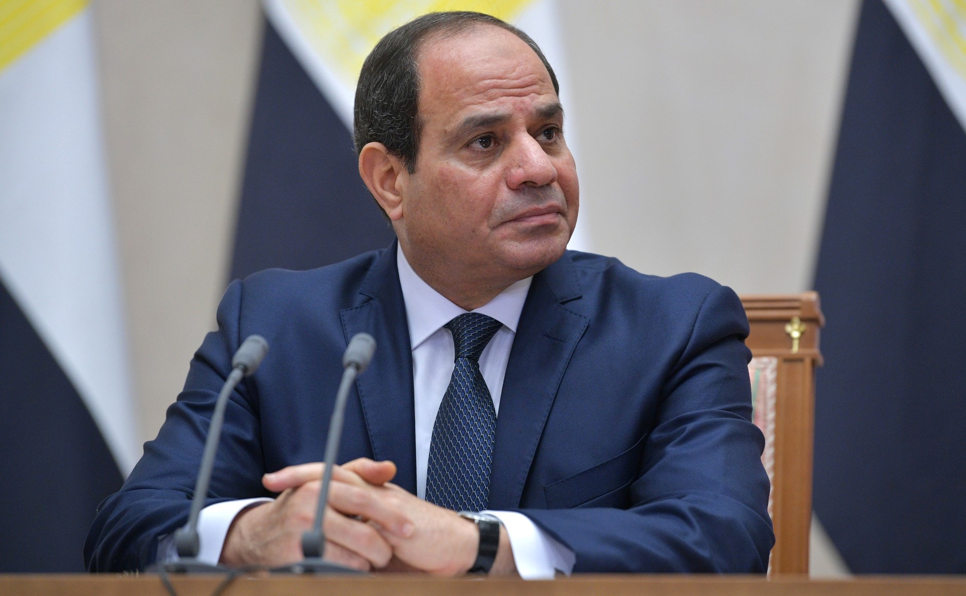 Egyptian president's visit expected to strengthen time-tested ties: MEA