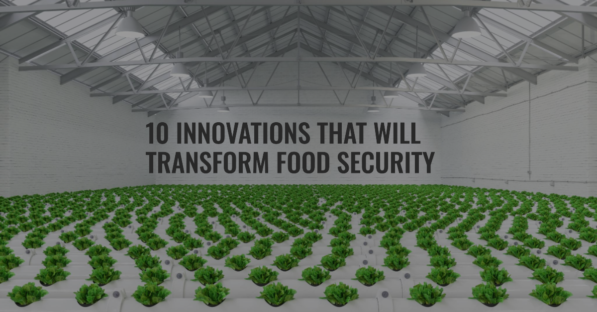 Feeding the Future: 10 Innovations That Will Transform Food Security