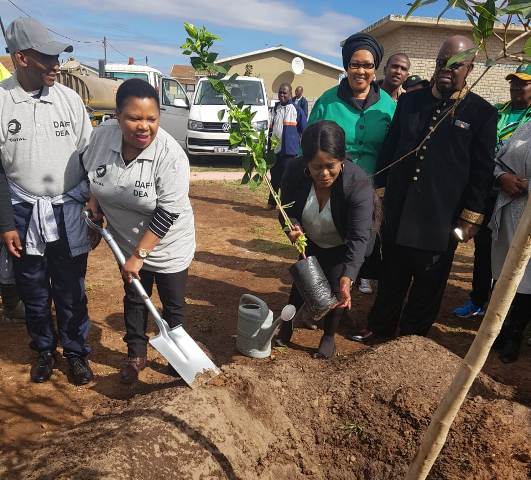 Makhotso Sotyu urges to plant and protect indigenous trees 