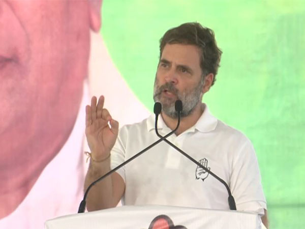 Rahul Gandhi Criticizes BJP's Economic Policies in Haryana