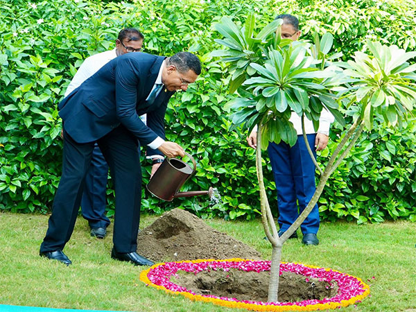 Jamaican Prime Minister Plants Plumeria Alba at Rajghat During Historic India Visit