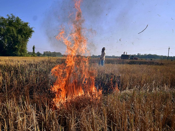 Flying Squads Deployed to Combat Stubble Burning in Punjab and Haryana