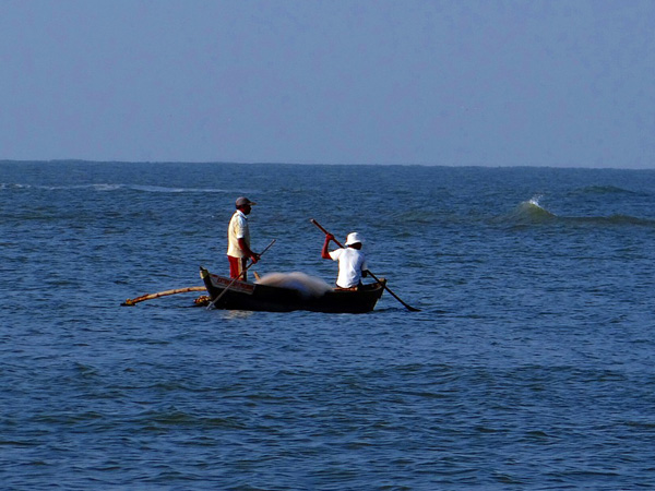 Indian fishermen rescued by Sri Lankan Navy after drifting into country's waters