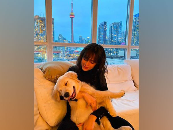 Camila Cabello notes what she wishes for in the New Year