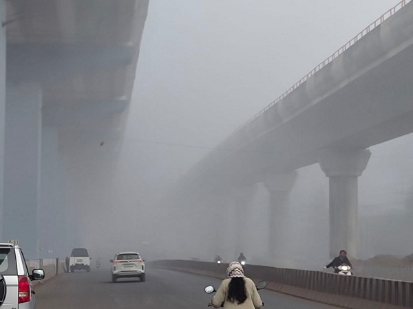 Dense Fog and Plummeting Temperatures Disrupt Madhya Pradesh