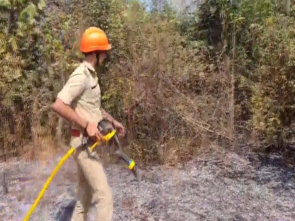 Fire Erupts in Kannur's Cashew Orchard, Prompt Response Ensures Safety