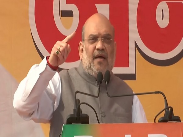 Amit Shah slams SP, BSP, says 'Bua-Bhatija' govts pushed UP to BIMARU state category