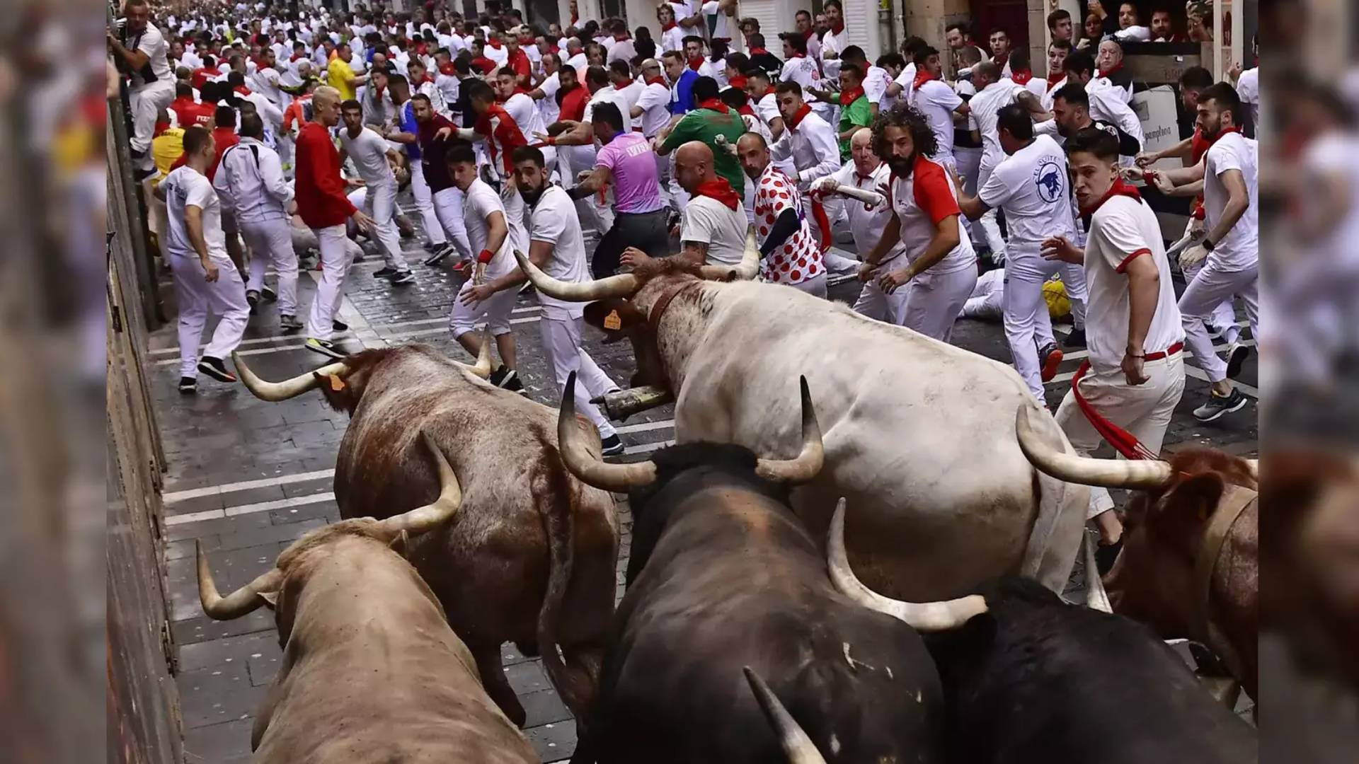 Mexican town continues bull running tradition despite legal struggle over bullfights in capital