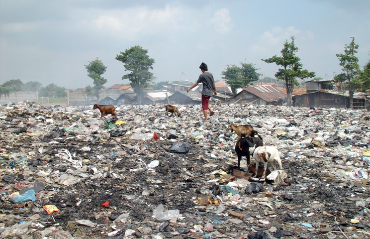 IIT Delhi-govt to work on waste management to make India a 'waste free nation'