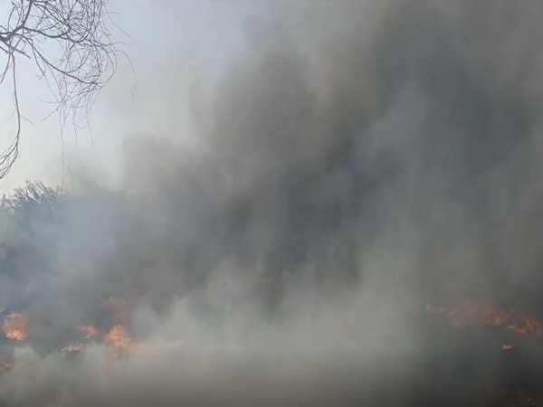 Fire breaks out in scrap godown in Telangana's Sangareddy district