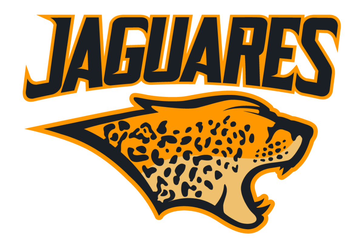 Rugby-Jaguares place trust in their game at journey's end