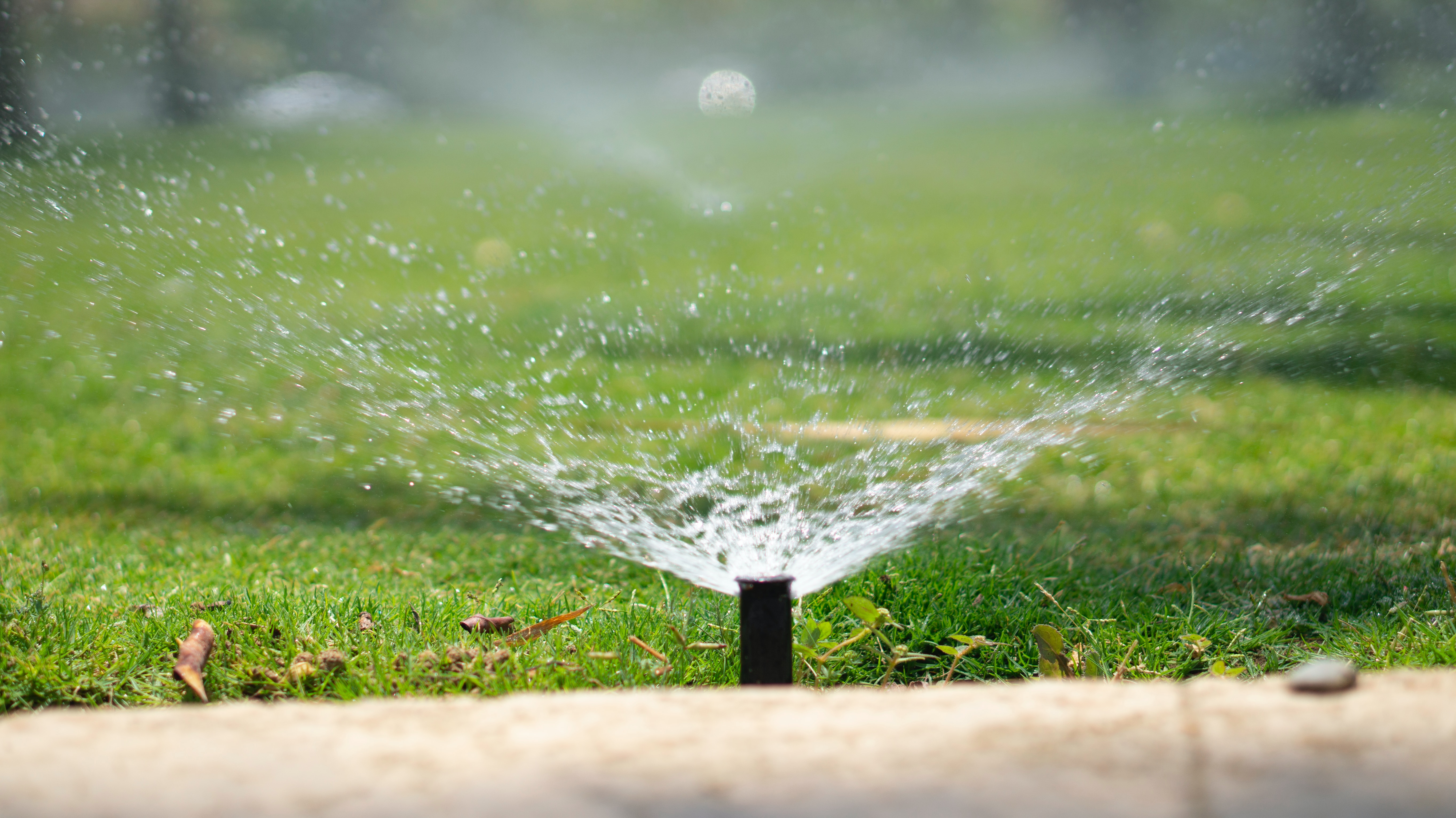 Peloquin Sprinklers & Landscaping: A Legacy of Excellence and Dedication