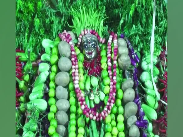 Andhra Pradesh: Three-day Shakambari Festival begins in Vijayawada