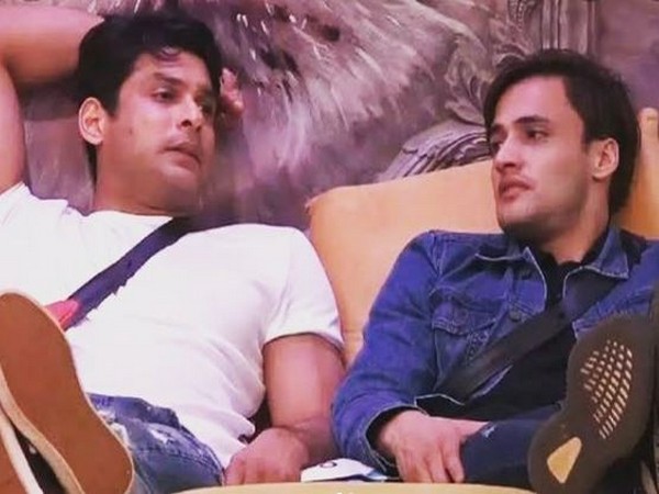 Asim Riaz remembers 'brother' Sidharth Shukla with priceless Bigg Boss 13 video