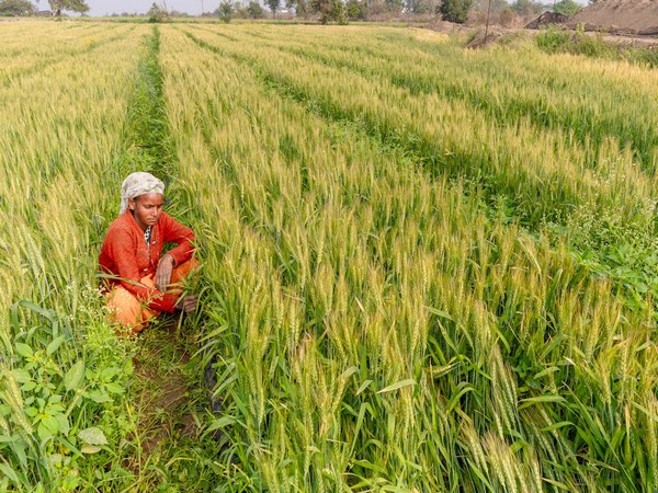 Union Cabinet Approves Rs 13,966 Crore for Revolutionary Agricultural Schemes