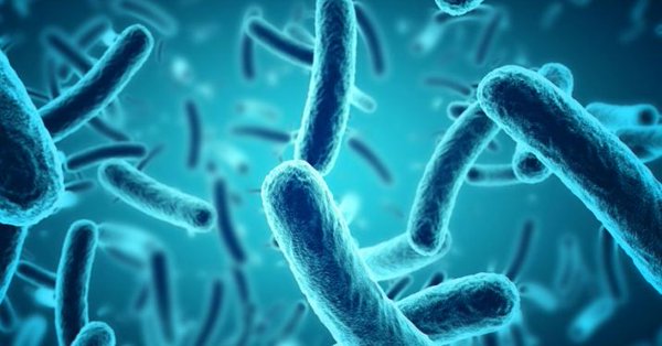 Sheffield University of UK to teach global threat of anti-microbial resistance