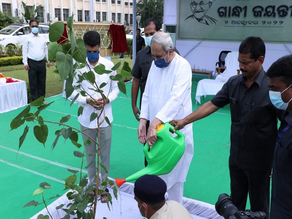 Odisha CM plants Peepal Tree at Lok Seva Bhawan on Gandhi Jayanti, calls it as 'Freedom Tree'