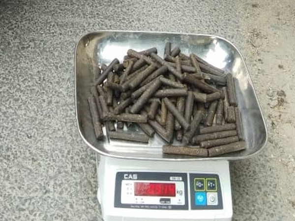 HP: Man held with 914 grams of cannabis in Kullu