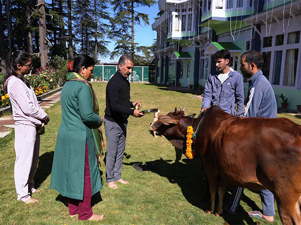 Himachal CM Sukhu Celebrates Govardhan Puja, Highlights State Achievements