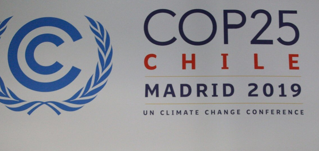 Frustrated with climate talks, activists dump manure outside Madrid summit