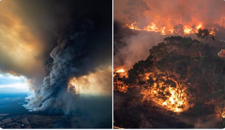 UPDATE 1-Australia battles new bushfire threat as smoke cloaks capital