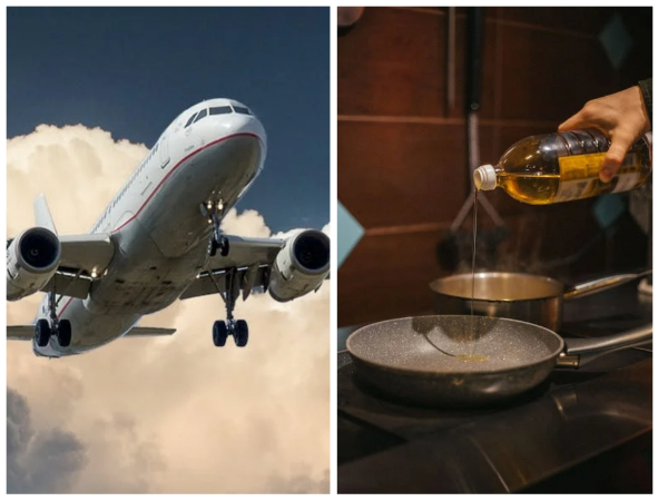 Here's why aviation industry is relying on used cooking oil as fuel