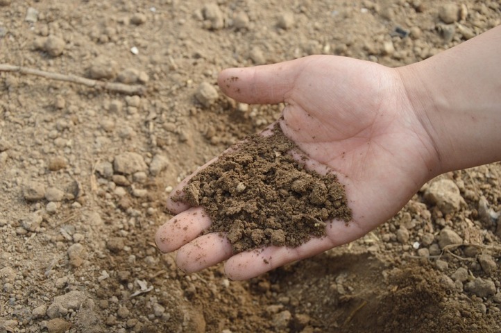 IAEA and UN’s FAO start campaign to protect soil biodiversity on World Soil Day 2020