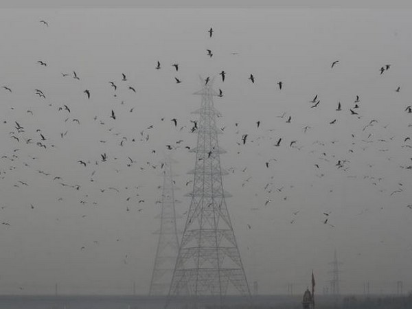 Delhi's air turns 'poor' in several areas