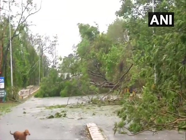 Cyclone 'Fani' causes damage to tune of Rs 58.61 crore in Andhra Pradesh