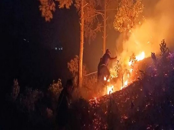 Champawat Forest Fire: NGT directs Uttarakhand Govt to take action for rehabilitation, restoration 