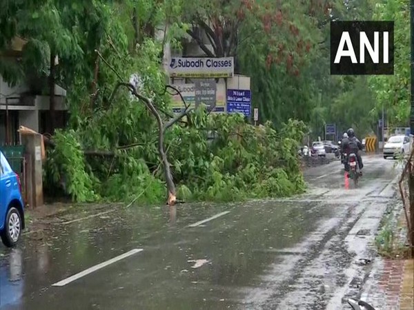 NCP MP says cyclone caused Rs 5,000-crore damage; seeks aid