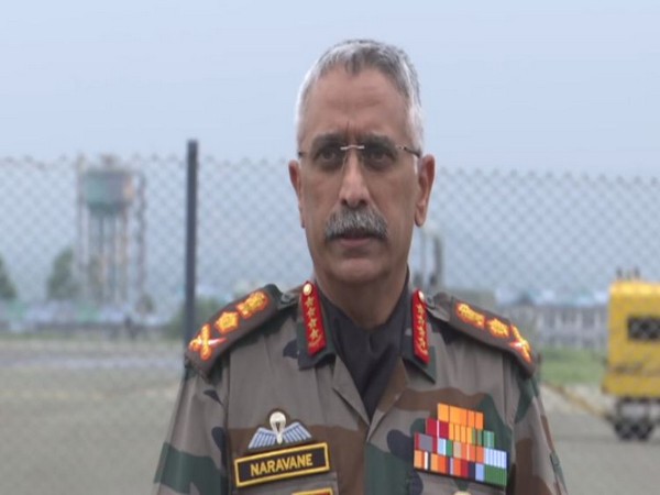 Very few terrorist-initiated incidents, stone-pelting cases indicate return to 'normalcy' in J-K, says Army chief