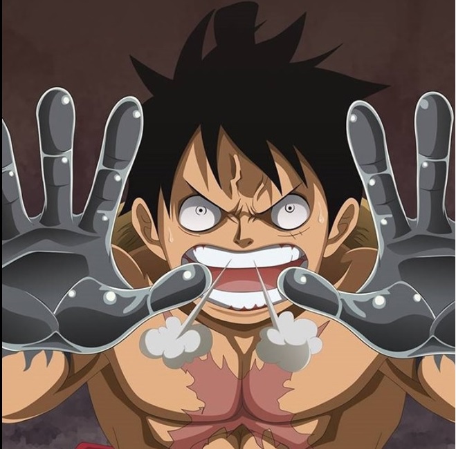 One Piece Chapter 1016 spoilers: Manga to bring different angle to  storyline | Entertainment