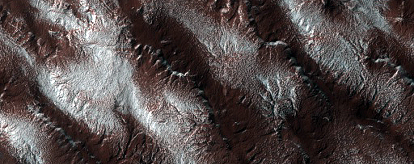 NASA's camera spots spiders on Mars | Check out this image