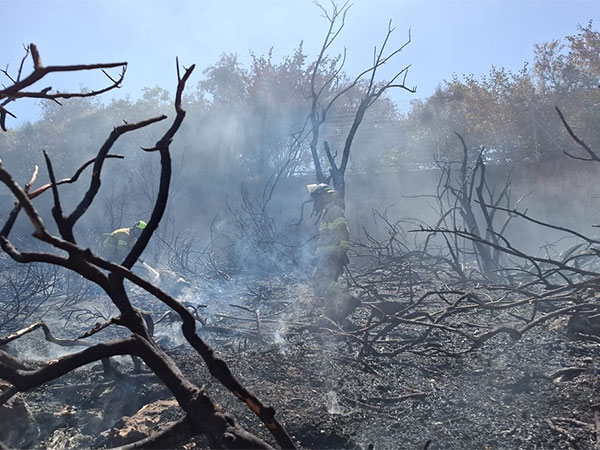 Forest fire in Jerusalem's Valley of the Cross forces evacuation of Israel museum