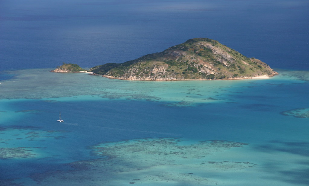 Almost 60 coral species around Lizard Island are ‘missing’ – and a Great Barrier Reef extinction crisis could be next