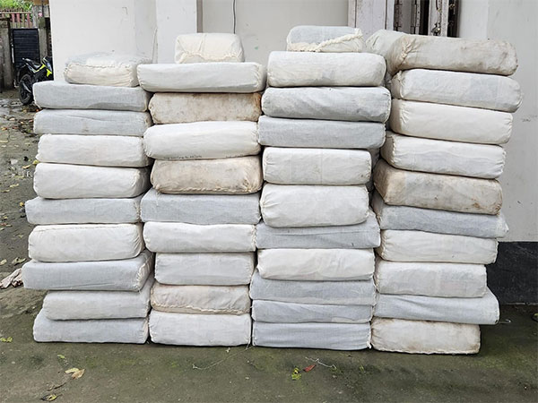 NCB Guwahati Busts Major Drug Trafficking Rings: Seizes Over 941 kg of Narcotics