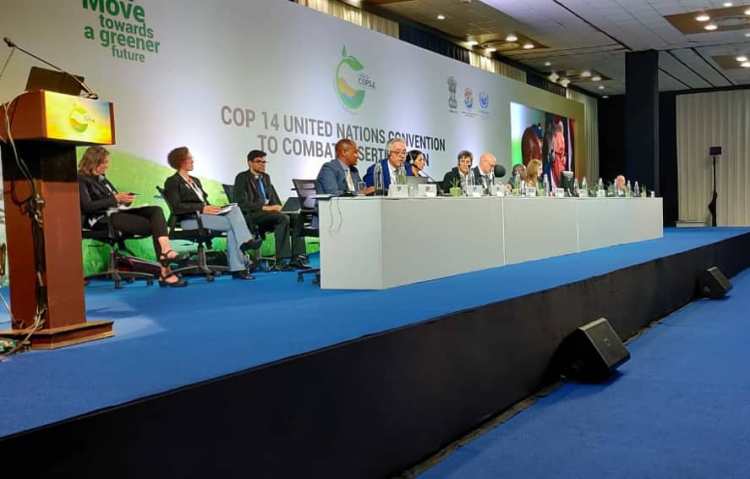 Second-day of UNCCD COP14 witnesses wide participation from stakeholders
