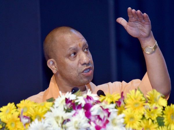 Yogi's popularity continues to soar high on social media