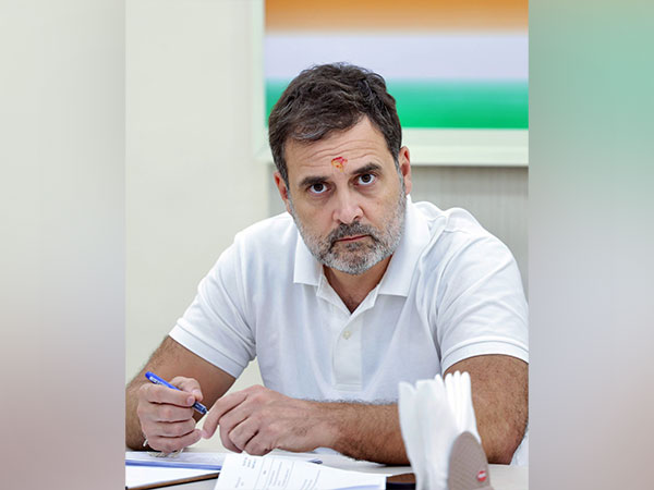 Rahul Gandhi Discusses INDIA Bloc Strategy for Haryana Polls