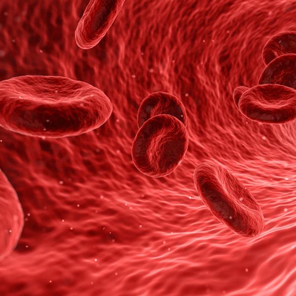Its possible to measure the level of blood clotting with new method