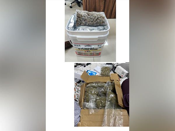Mumbai: DRI busts international drugs racket, ganja worth Rs 2.36 cr seized